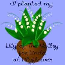 lily-of-the-valley.jpg